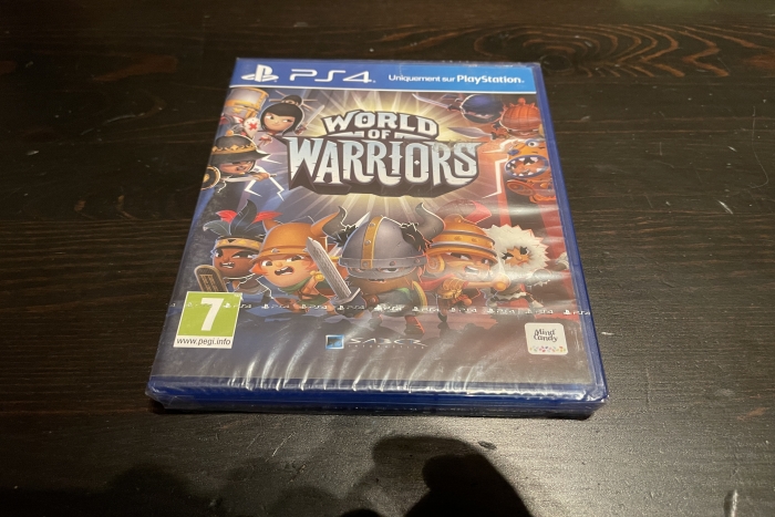 World Of Warrior
