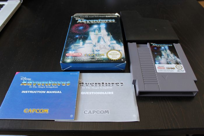 Adventures In The Magic Kingdom